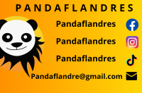 pandaflandres